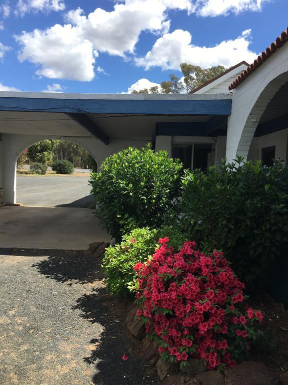 Azalea Motel Coonabarabran Exterior foto